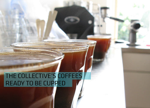 Open Cupping at The Coffee Collective