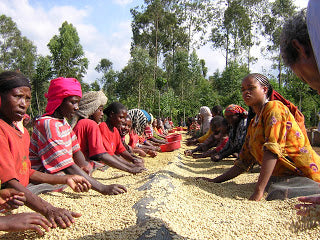 Field Trip to Ethiopia 2007