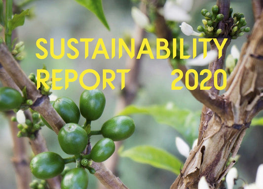 Sustainability Report 2020