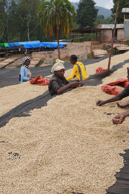 How much is the farmer paid | Aga