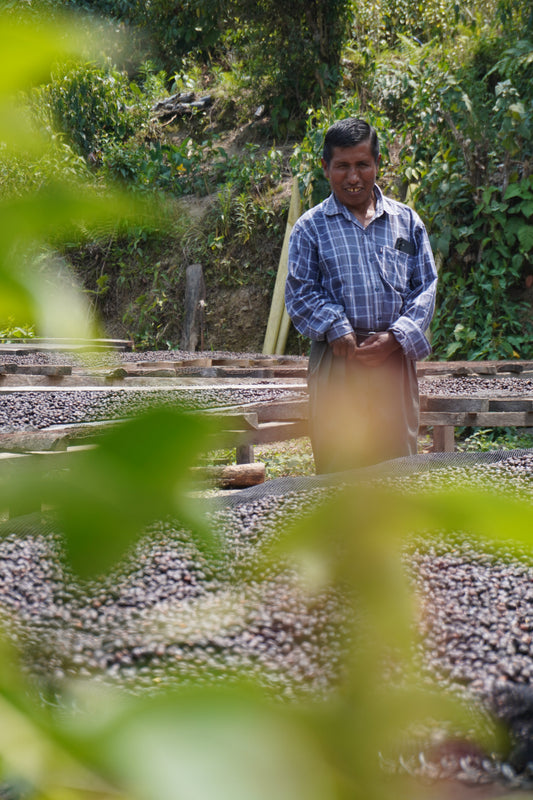 How much is the farmer paid | Uluri Honey Gesha