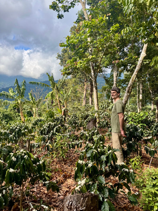 Going to a new origin | Mexico