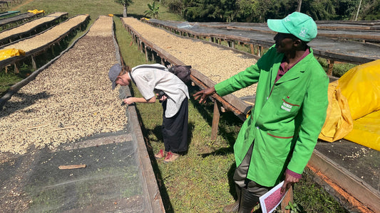 How much is the farmer paid | Kieni