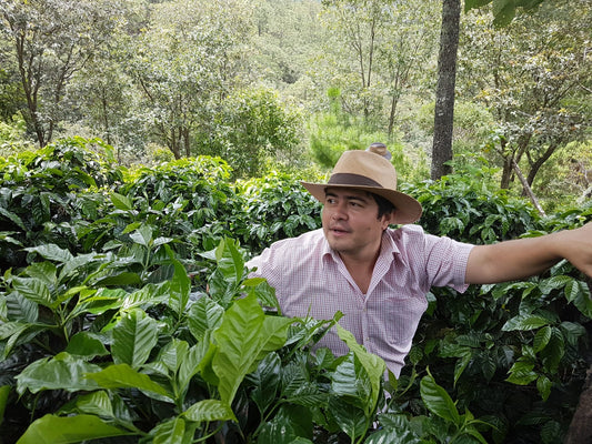 How much is the farmer paid | Morales