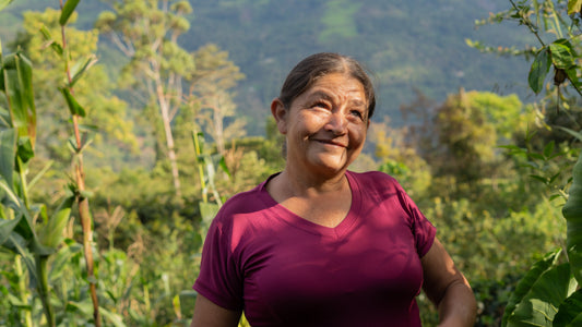 How much is the farmer paid | Monte Grande