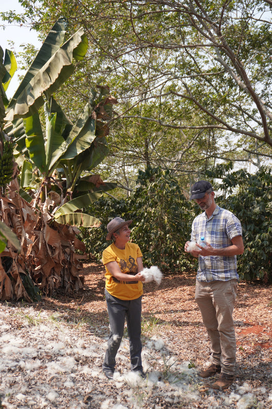 How much is the farmer paid | Miriam