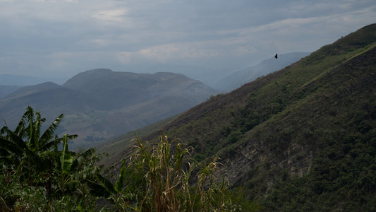 View with mountains in the background