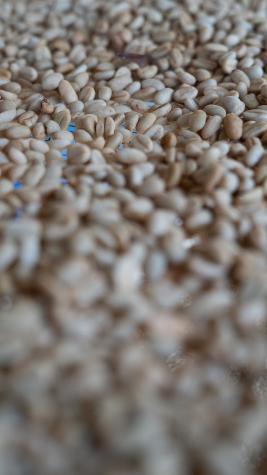 Coffee beans