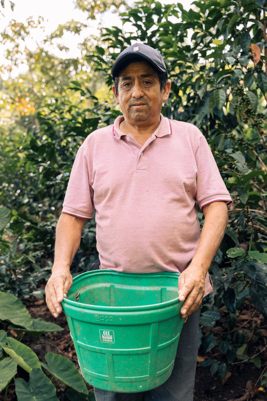 Man holding a green bucket in a coffee plantation
