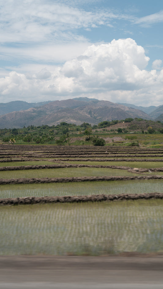 Peru landscape